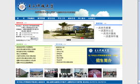 网站建设需求分析与实施指南